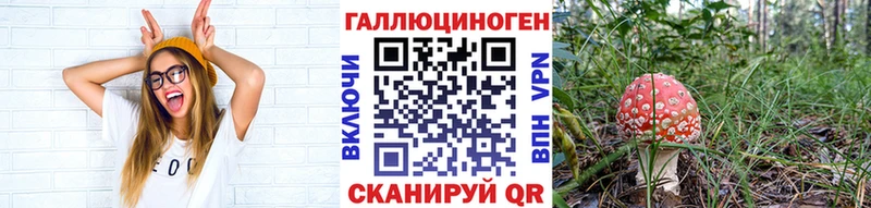 сколько стоит  Ртищево  mega ССЫЛКА  Псилоцибиновые грибы мухоморы 