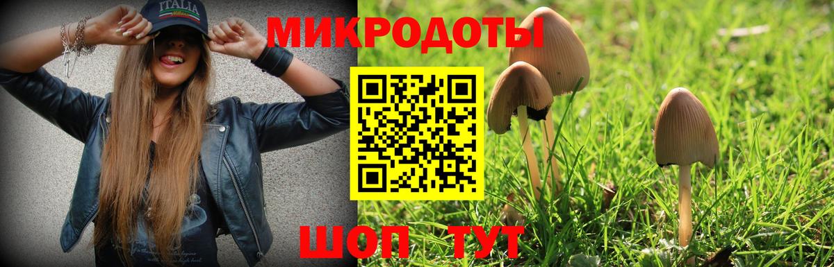 Псилоцибиновые грибы Psilocybine cubensis Ртищево