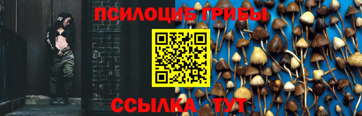 Псилоцибиновые грибы мухоморы  Вход с VPN  где купить наркотик  Ртищево 